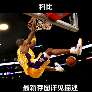 高中毕业证字第多少号